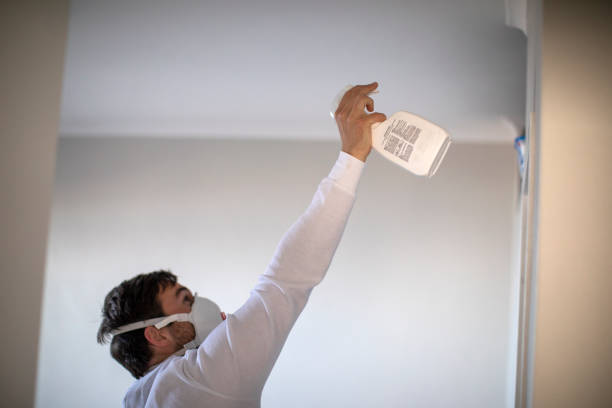 Best Water Damage Restoration  in Clayton, OH