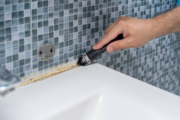 Best Professional Mold Removal  in Clayton, OH